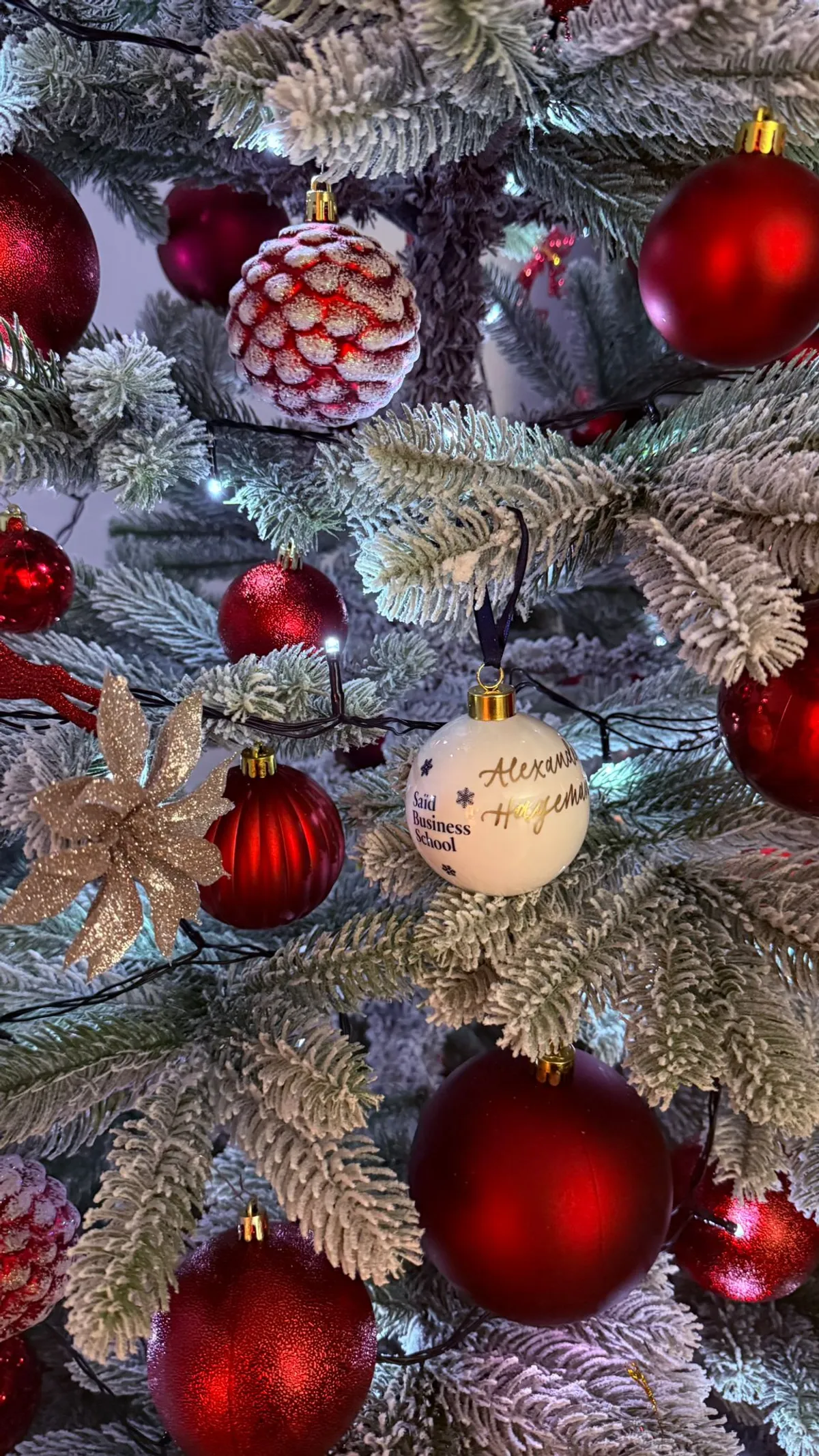 Reflections on 2025: A Year of Growth, Change, and New Beginnings